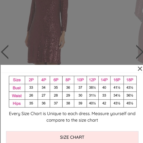 R&M Richards Sequin Dress - Picture 5 of 10